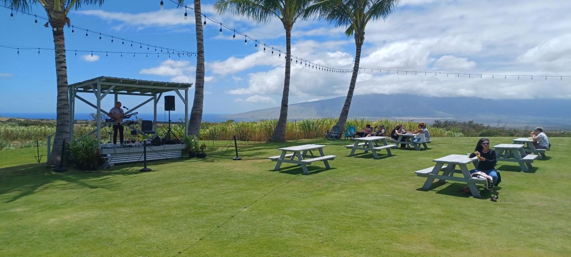 Campcar Maui Jeeps Suvs Hybrid Camper Van Rentals With Equipment And Travel Advice Kahului Buitenkant foto