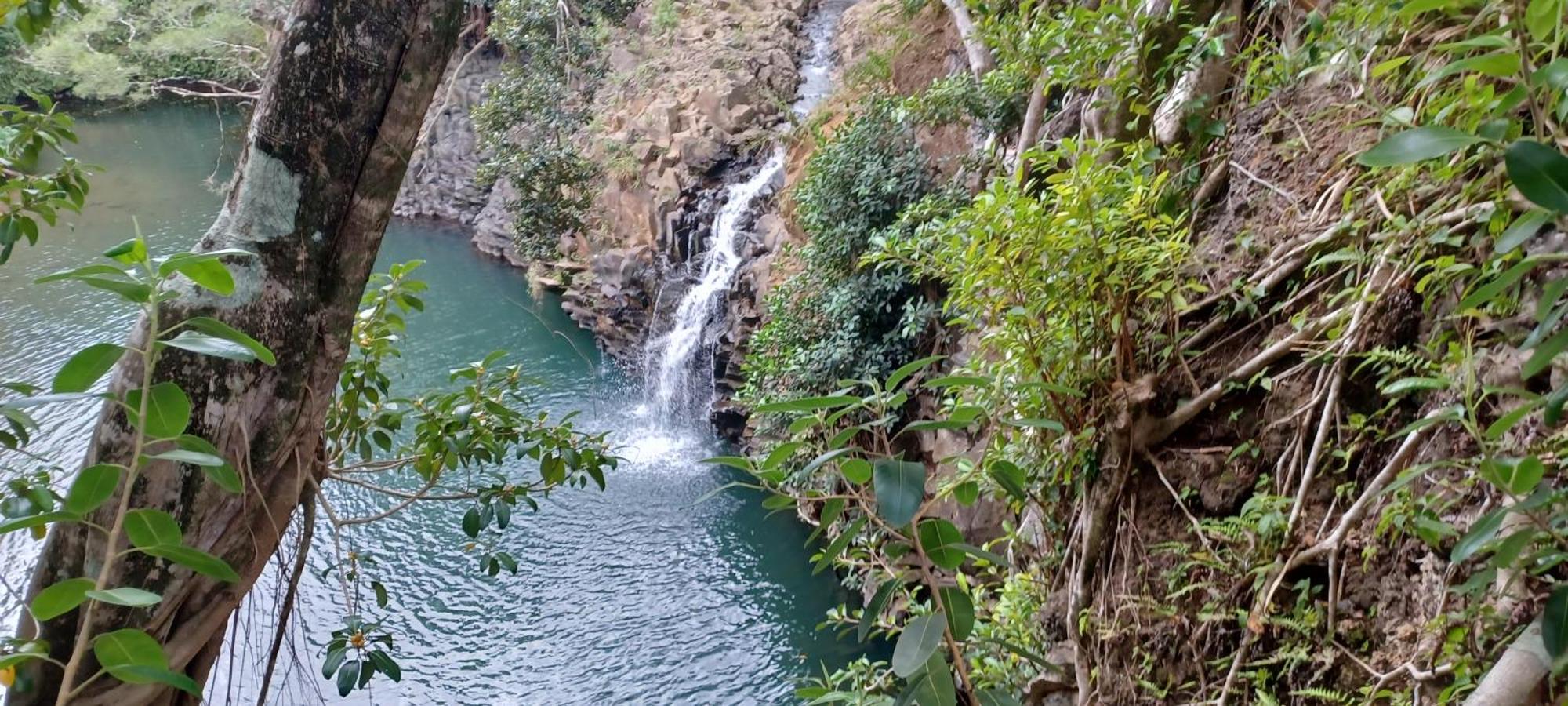 Campcar Maui Jeeps Suvs Hybrid Camper Van Rentals With Equipment And Travel Advice Kahului Buitenkant foto